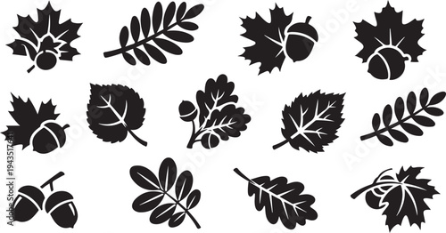 Black silhouettes of leaves and acorns on white background