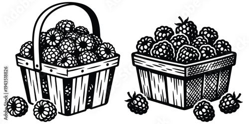 Raspberry basket illustration featuring fresh summer berries and woven container