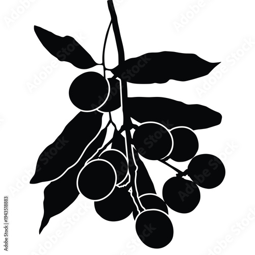 Branch with leaves and berries in silhouette style
