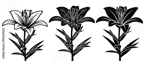 Three black silhouette lily flowers on stems