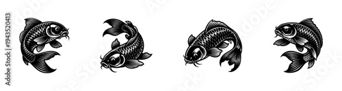 Set of black and white koi fish illustrations in vector style