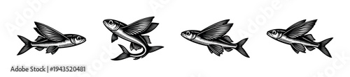 Flying fish vector illustration set in black and white silhouette style