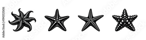 Black and white starfish silhouette vector set with intricate patterns