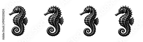 Black and white seahorse silhouettes set, vector illustration of marine creatures