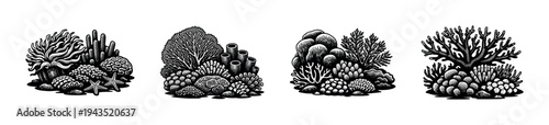 Black and white coral reef illustration set featuring marine botanical elements