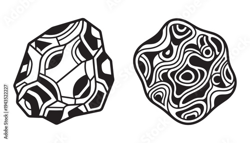 Abstract patterned stones vector illustration isolated on transparent background