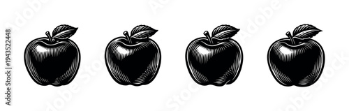 Black and white silhouette illustration of apples with leaves vector set