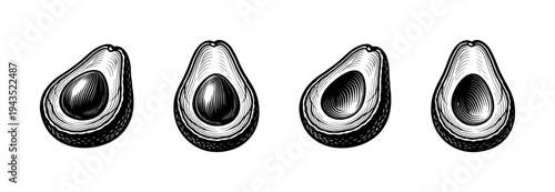 Vector illustration of avocado halves in black and white style