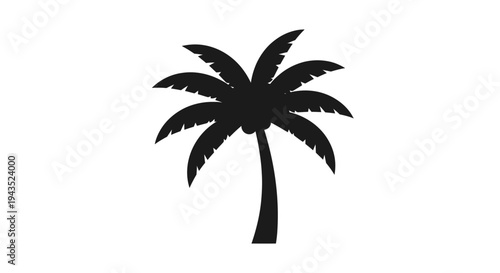 Silhouette of a Tropical Palm Tree with Fronds.