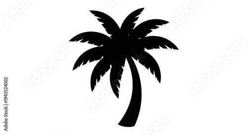 Silhouette of a Tropical Palm Tree with Lush Fronds.