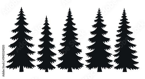 Silhouettes of five evergreen pine trees in a row, black and white illustration.