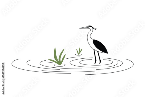 Elegant wading bird standing in water with aquatic plants.