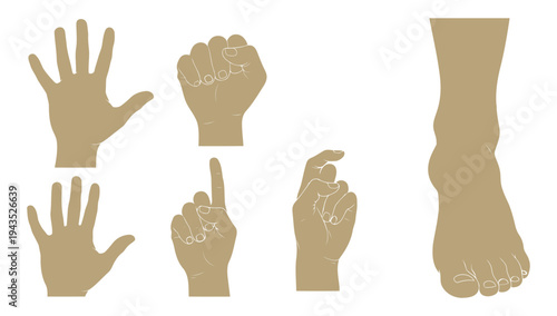 Illustrations of common hand gestures and a foot diagram for reference