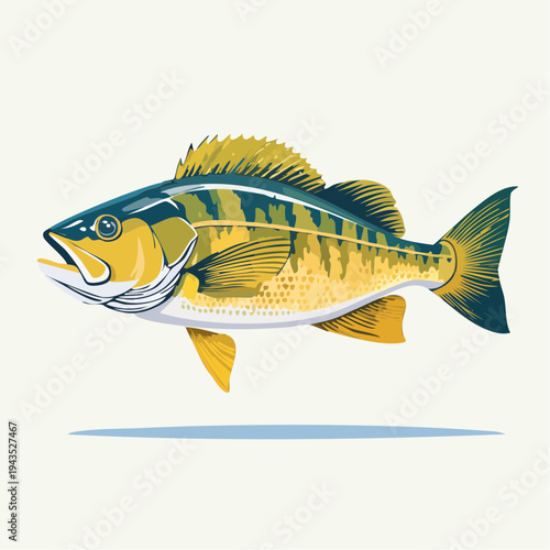 Cod Fish Illustration - Atlantic Cod Seafood Vector Graphic Element Isolated