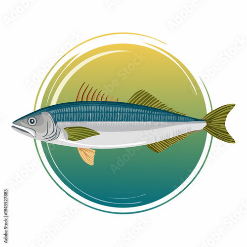 Hake Fish Vector Illustration Isolated on White Background