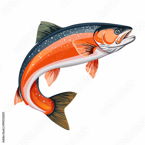 Vector illustration of a salmon fish swimming, stylized aquatic wildlife graphic isolated on white background, jumping salmon icon for seafood restaurant or fishing sport design.