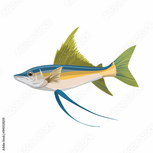 Sand Lance Fish Illustration Vector Art, Ammodytes Marine Life Ocean Creature Design Isolated