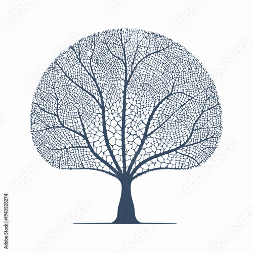 Sea Fan Gorgonian, intricate fan-shaped lattice, delicate branching structure