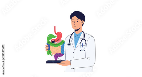 A smiling male doctor in a white lab coat holds a detailed, colorful anatomical model of the human digestive system.
