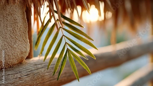 Peaceful tropical serenity: sunlit palm leaves gently swaying on rustic beach structure
