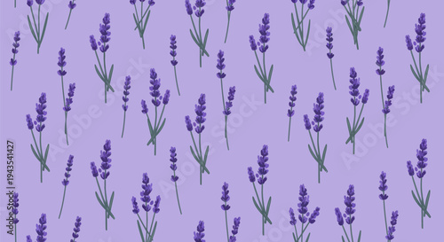 Seamless pattern with hand-drawn style lavender sprigs on a light purple background, featuring scattered purple flower clusters and green stems in a repetitive floral design.