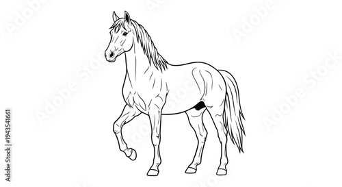 Black and White Illustration of Running Horse.