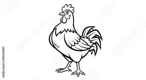Black and White Rooster Illustration Standing.