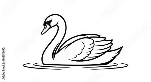 Black and White Swan Illustration.