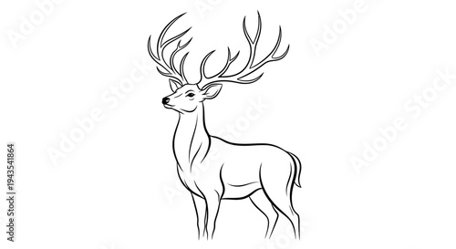 Deer with large antlers standing illustration.