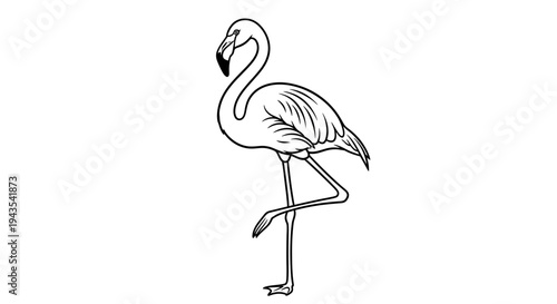 Flamingo Standing on One Leg Illustration 1.