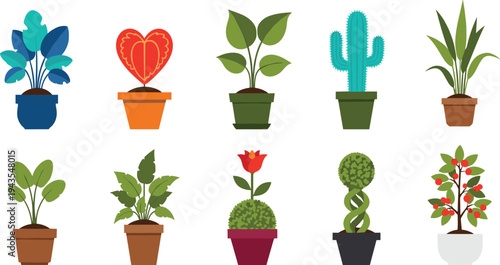 Collection of colorful potted houseplants and cactus vector illustrations isolated on white background, decorative indoor plants set for home gardening, botanical design elements