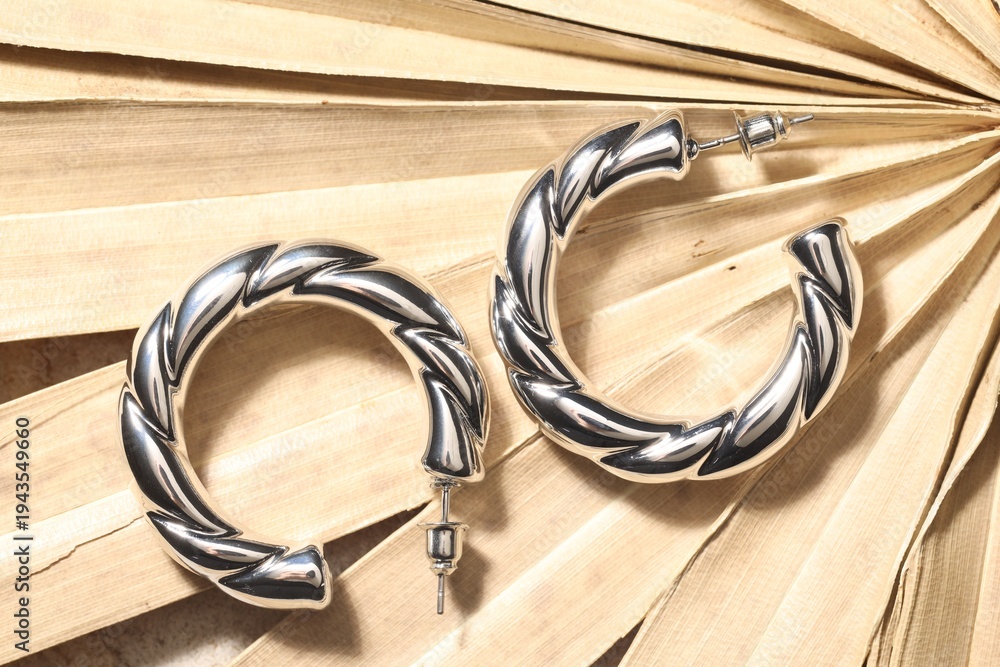 Fototapeta premium Shiny silver earrings on dry palm leaf, top view