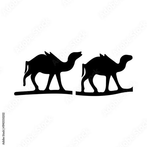 Two camels walking side by side on a desert landscape. isolated on transparent background, Vector
