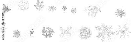 Technical landscape architectural drawing showing various plants and trees in plan view including palms, shrubs, flowering plants and ground cover vegetation in grayscale.