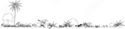 Technical landscape architectural drawing showing various plants and trees in elevation view including palm tree, shrubs, bushes and ground cover vegetation.