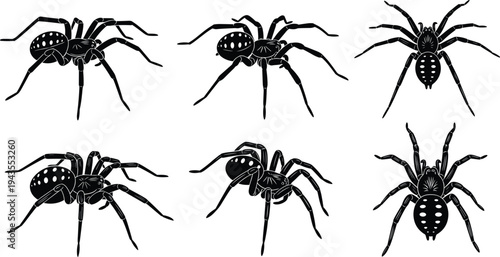 Spider silhouette set collection, creepy arachnid insect icons, halloween spooky bug symbols, black spider design vector illustration