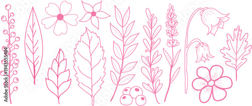 Pink floral and leaf line collection flower botanical
