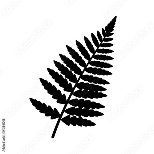 Black silhouette of a fern leaf.