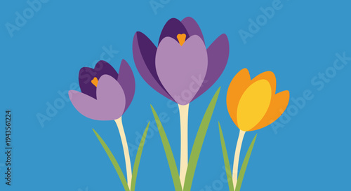 A vibrant illustration of colorful crocus flowers, beautifully blooming against a serene blue sky background, symbolizing the arrival of spring with their cheerful petals