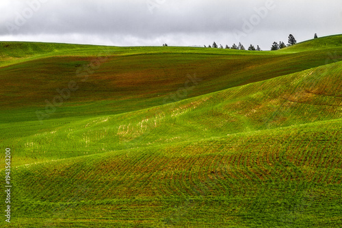 Wallpaper Mural Rolling Green Hills of the Palouse, Washington State Torontodigital.ca