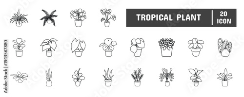 20 Tropical Plant Line Icon Illustration Set 