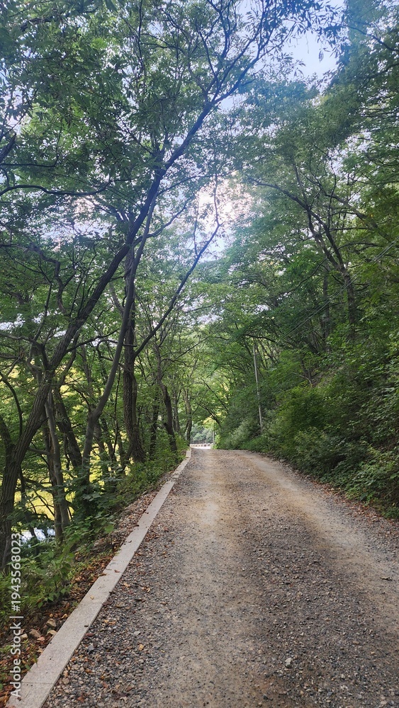 Fototapeta premium 맑은 하늘과 구름, 산과 강을 따라 걷는 데크 둘레길의 여름 풍경