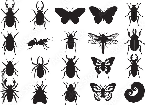 Vector Silhouette Collection of Insects, Beetles, Butterflies, Spiders, Ants, and Dragonflies in Detailed Scientific Profiles