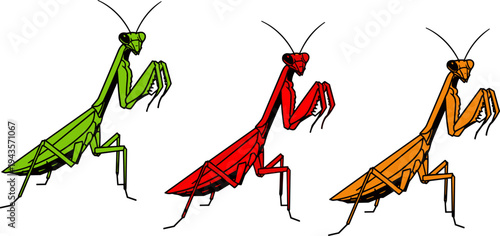 praying mantis insect collection, colorful mantis vector illustration, predator bug character set, isolated nature clipart bundle