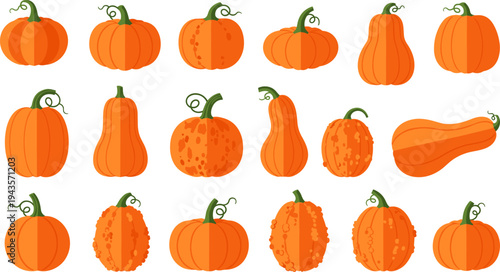 Pumpkin collection set, orange squash vegetables illustration, Halloween harvest gourds icons, autumn seasonal food, isolated vector design element bundle