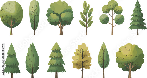 Collection of various forest trees in flat vector cartoon style, green woodland tree set isolated for nature illustration, landscape design, eco graphics and botanical themes