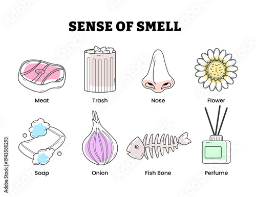 Smell Sense, Human Sense Nervous System Feeling Icon Collection with soap, bubble, aromatherapy, scent, bottle, trash, fish bone, onion, meat, steak, flower, nose Anatomy Human Body Part