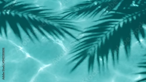 Overhead view of a tropical palm shadow cast on rippling blue pool water.