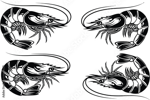Black and white illustration of four stylized shrimp with detailed segmented bodies, antennae, and tails, symbolizing seafood, marine life, culinary themes, and artwork projects