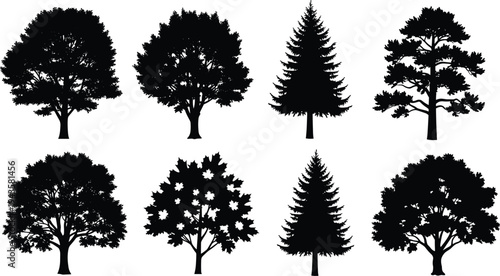 Black silhouette illustration of eight diverse tree species including deciduous and coniferous varieties, artwork concept for nature, landscape, environment, education, botanical studies, and design